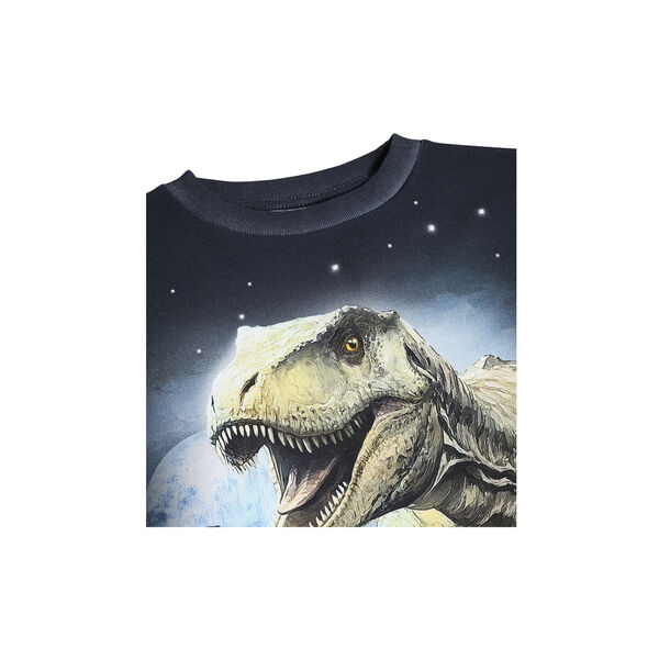 Rube T-shirt, moonlight rex, Molo