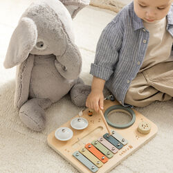 Musik aktivitetspanel, Sebra