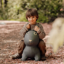 Thumper the Rabbit Jumping Animal, Find that hippo