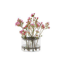 Äng Vase Small, Klong