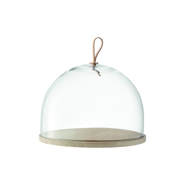 Ivalo kuppel, LSA International