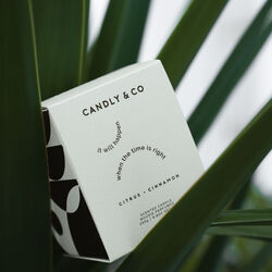 No. 3 Candle, It will happen when the time is right, Candly & Co