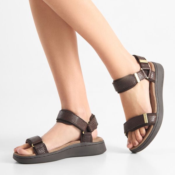 Line Fish, chocolate, WODEN