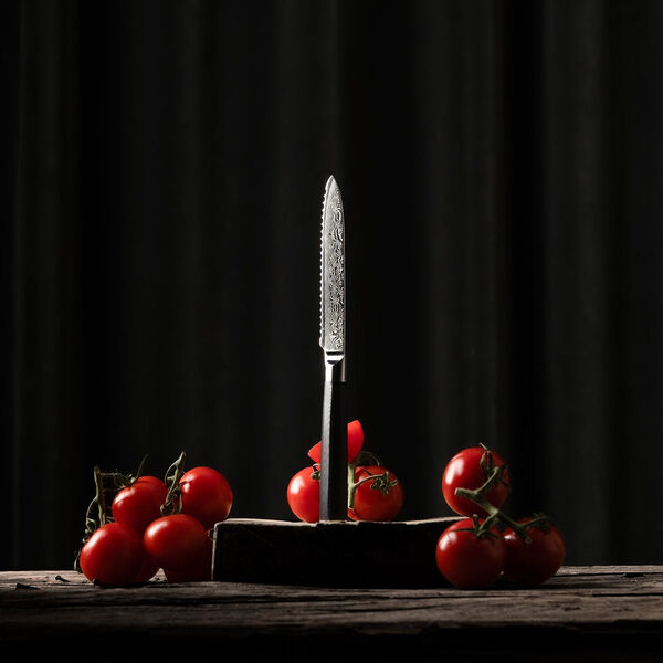 Utilitykniv med savtakker, Gastrotools