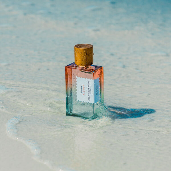 Pacific Rock Flower, Goldfield & Banks