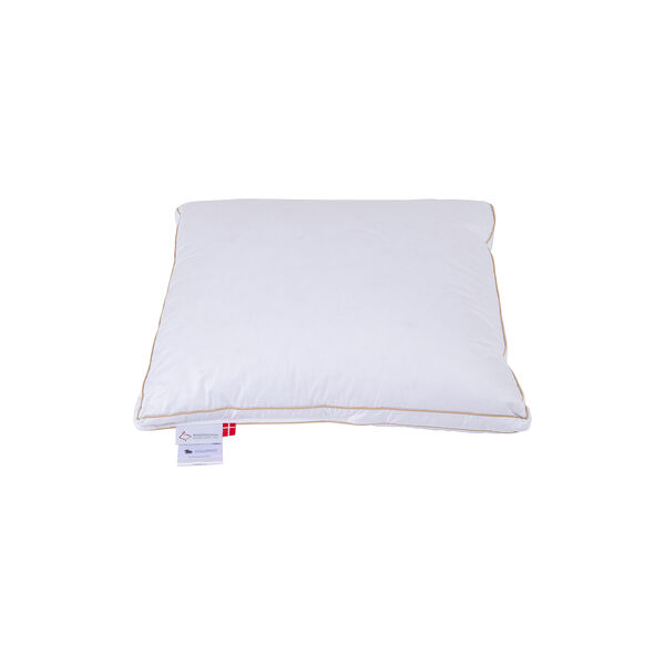 Svinedrengen hovedpude, Ringsted Dun