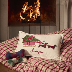 Dog Sleigh Velvet Pillow, white multi, Lexington