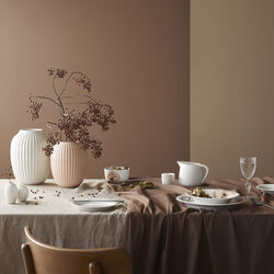 Hammershøi saucekande, Kähler