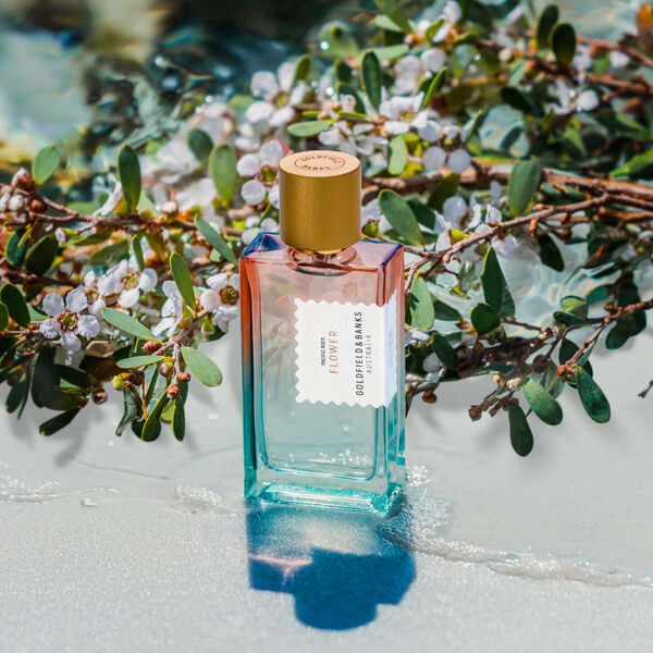 Pacific Rock Flower, Goldfield & Banks