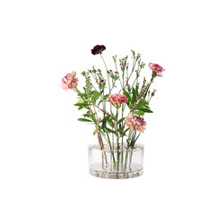 Äng Vase Big, Klong