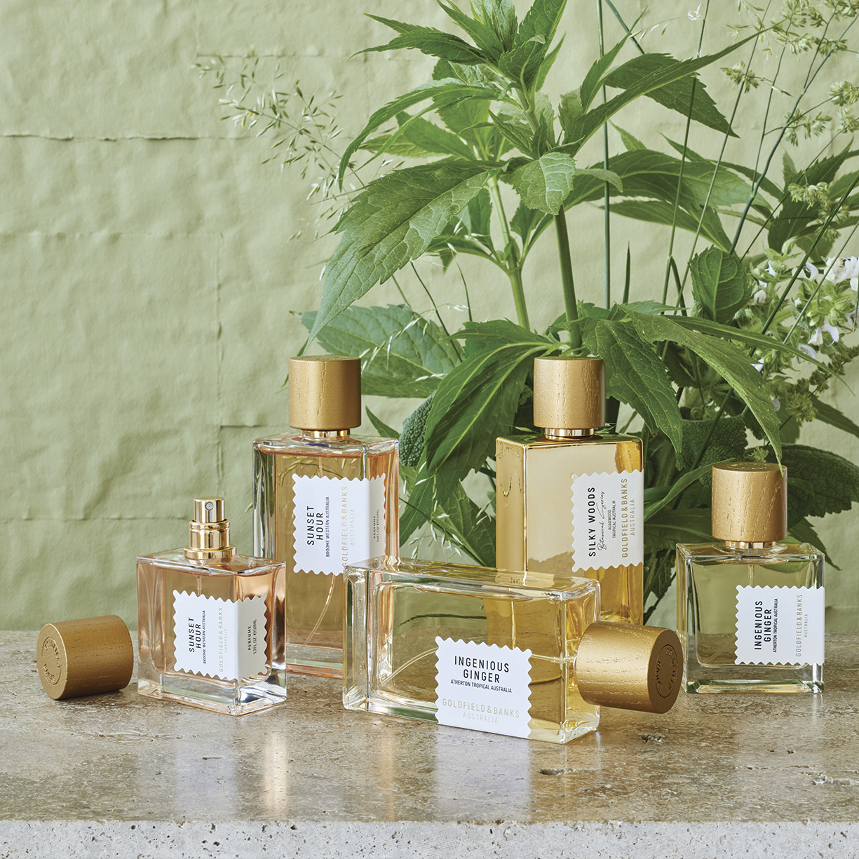 Køb Pacific Rock Flower | Goldfield & Banks
