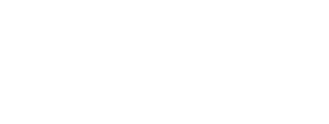 Den eksklusive gave