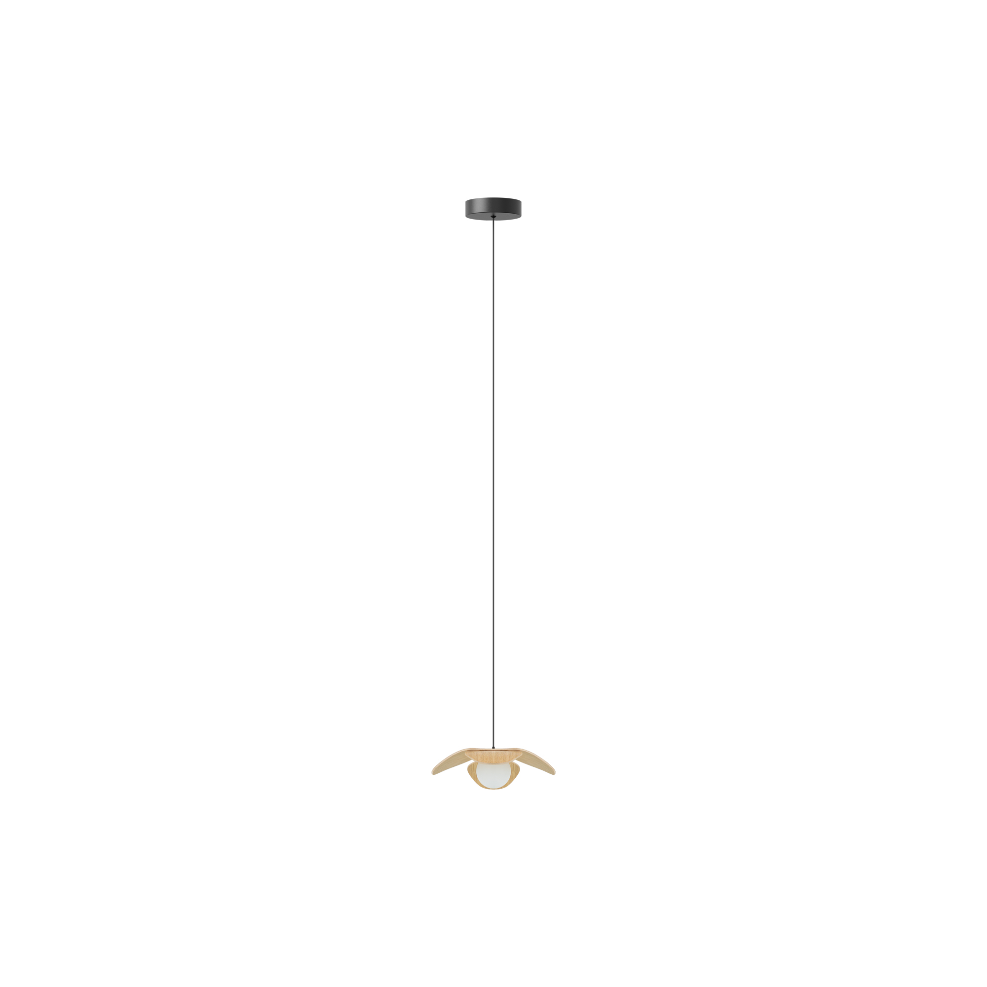 UMAGE - Forget Me Not Pendant, oak