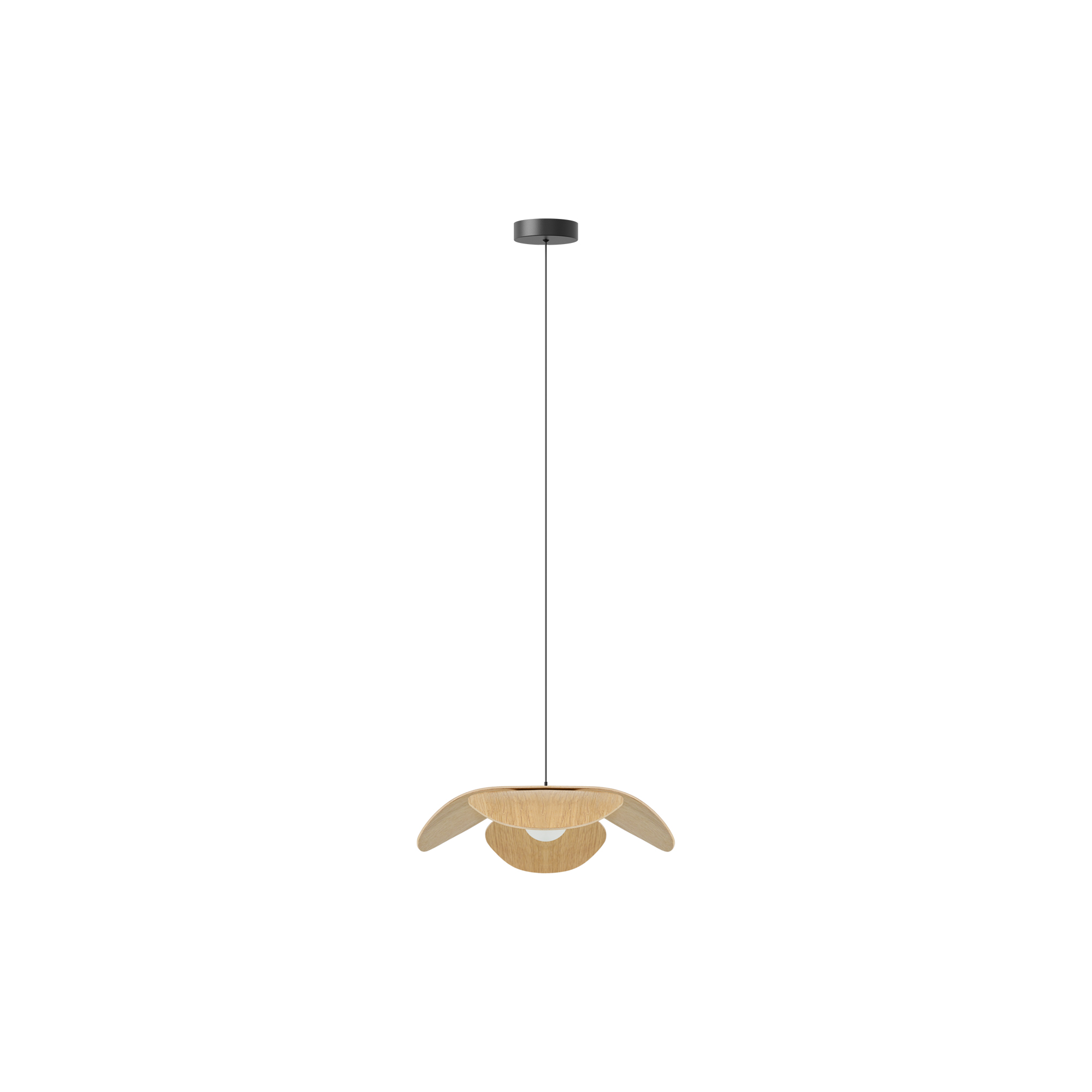UMAGE - Forget Me Not Pendant, oak