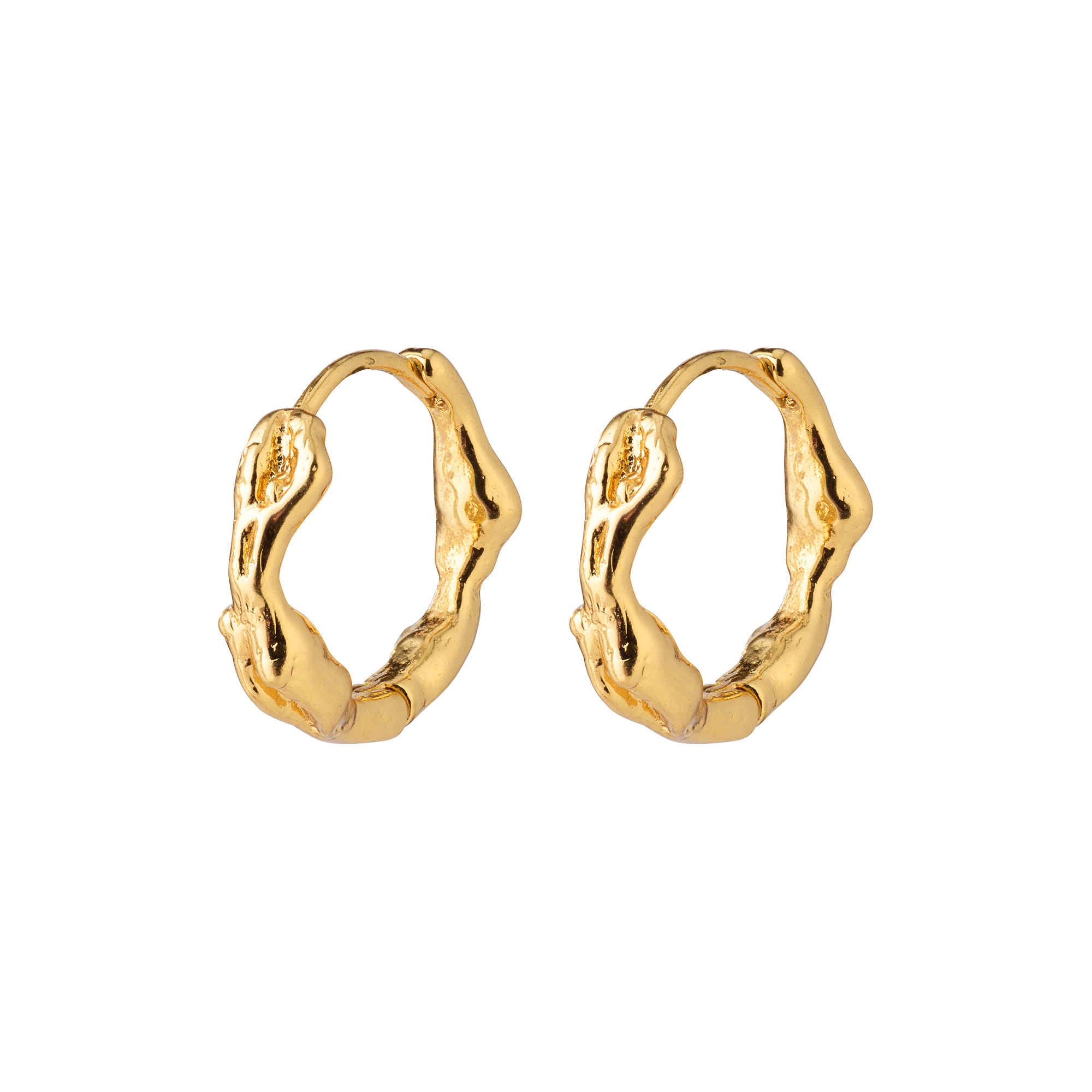 Pilgrim - ZION Huggie Øreringe Small, gold plated