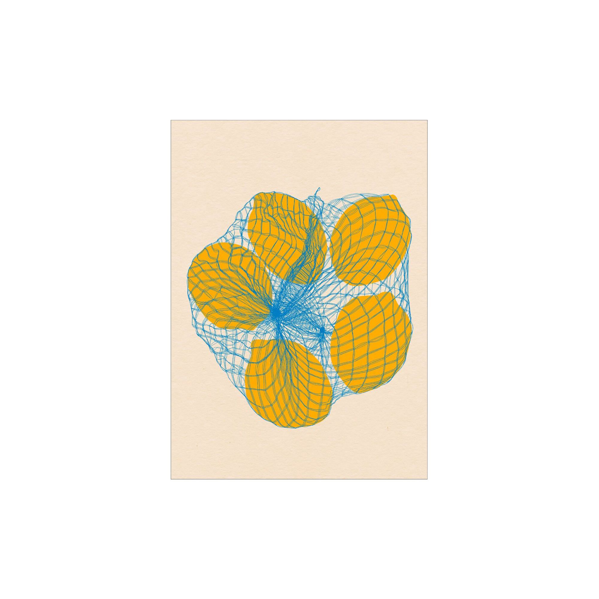Poster & Frame - Five Lemons in a Net Bag - 50x70 cm