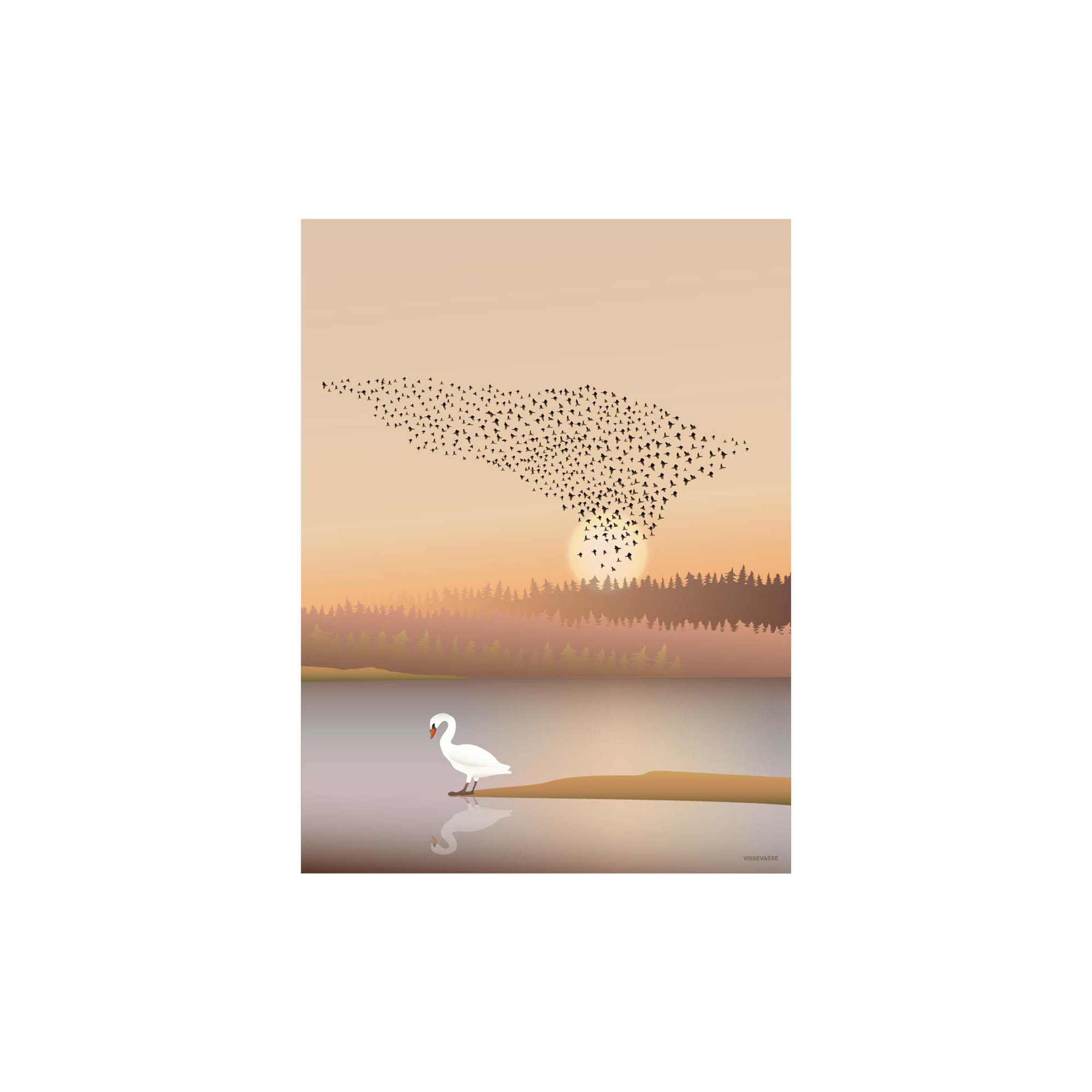 ViSSEVASSE - Murmuration plakat - 30x40 cm