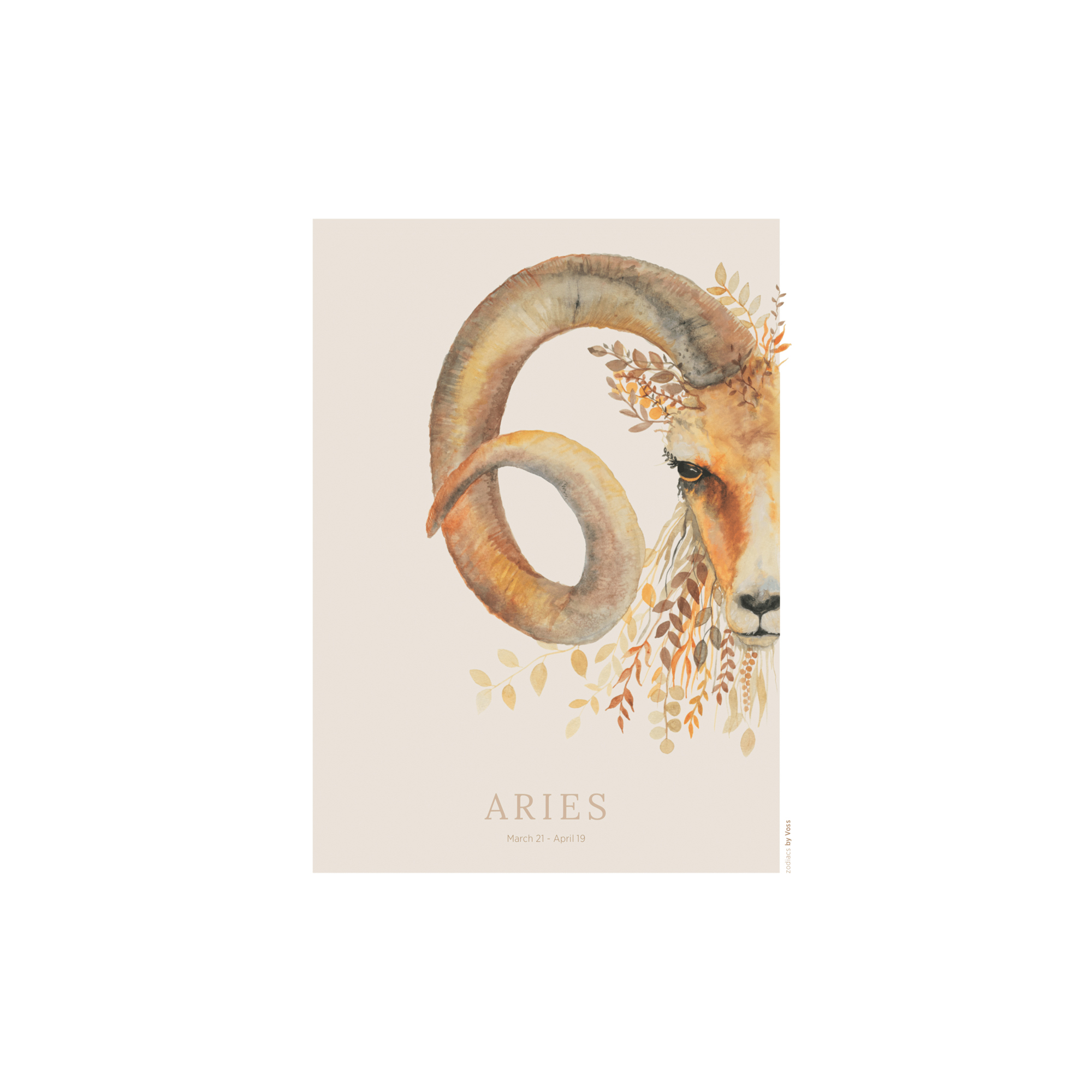 All by Voss - Vædderen plakat, Zodiacs - 30x40 cm