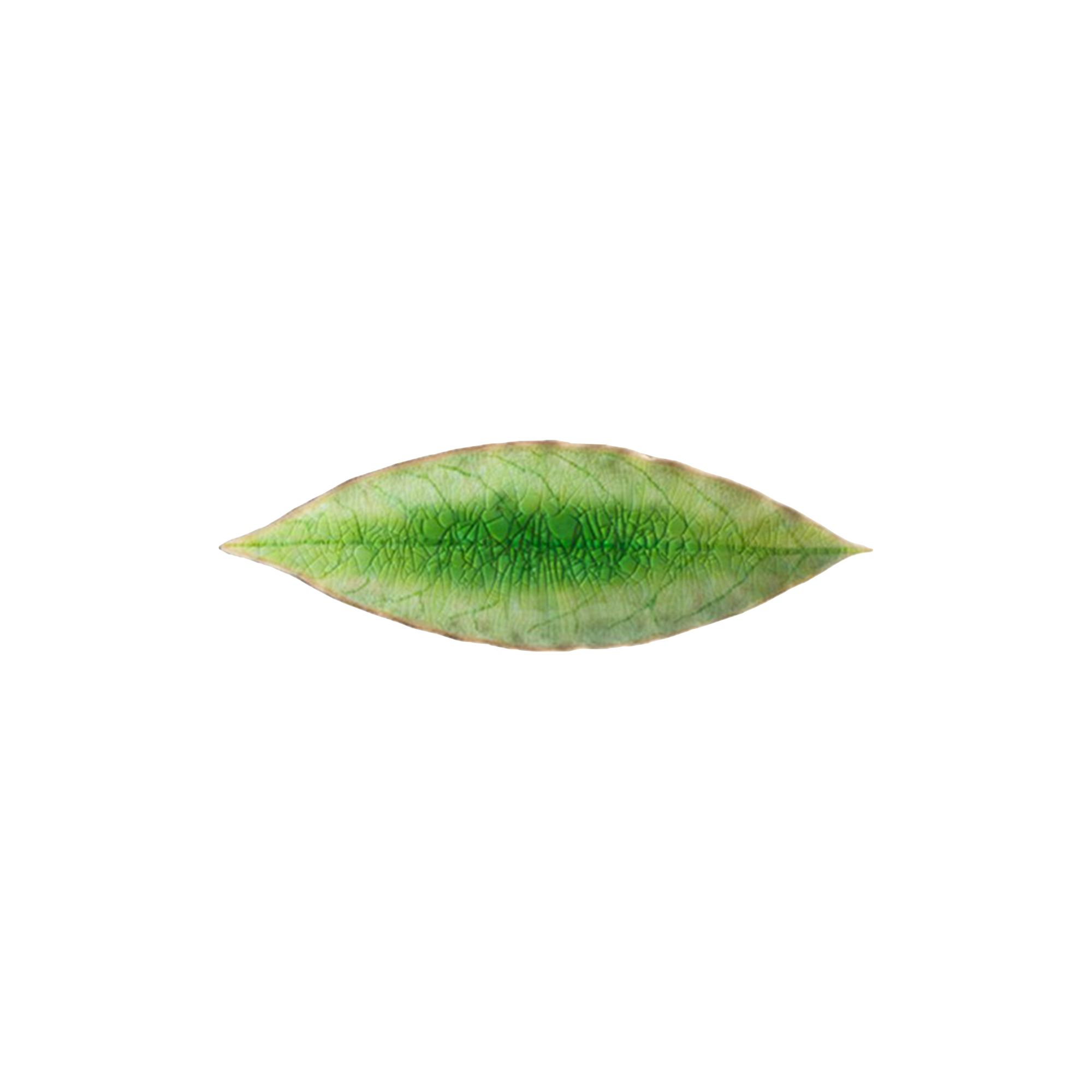 Costa Nova - Riviera assiet laurbærblad - 18x5,7 cm.