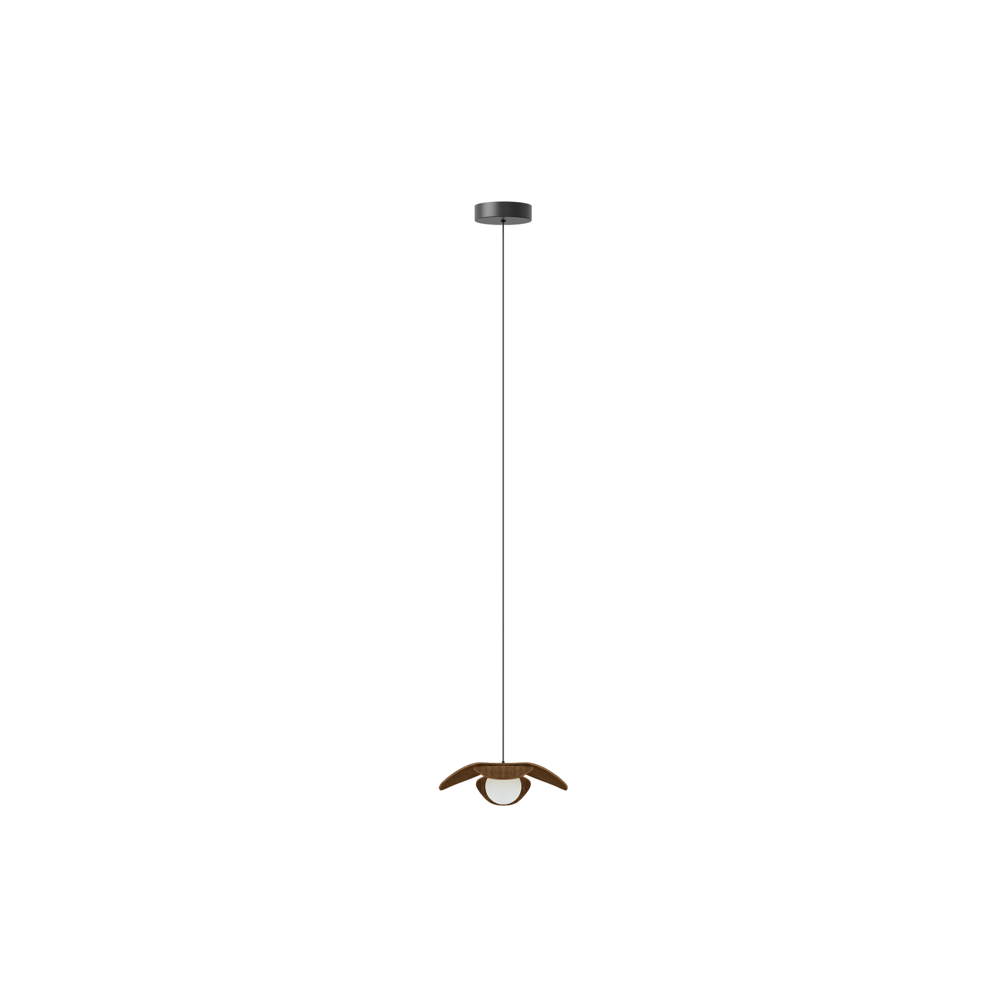 UMAGE - Forget Me Not Pendant, dark oak