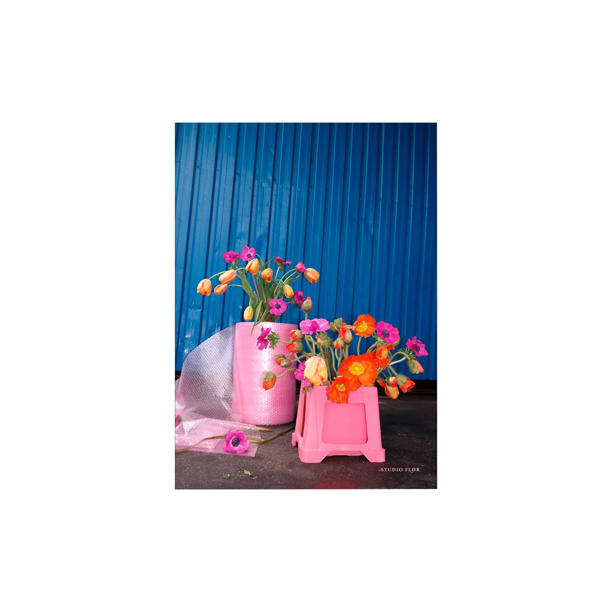 Poster & Frame - Wrapping Around - 30x40 cm