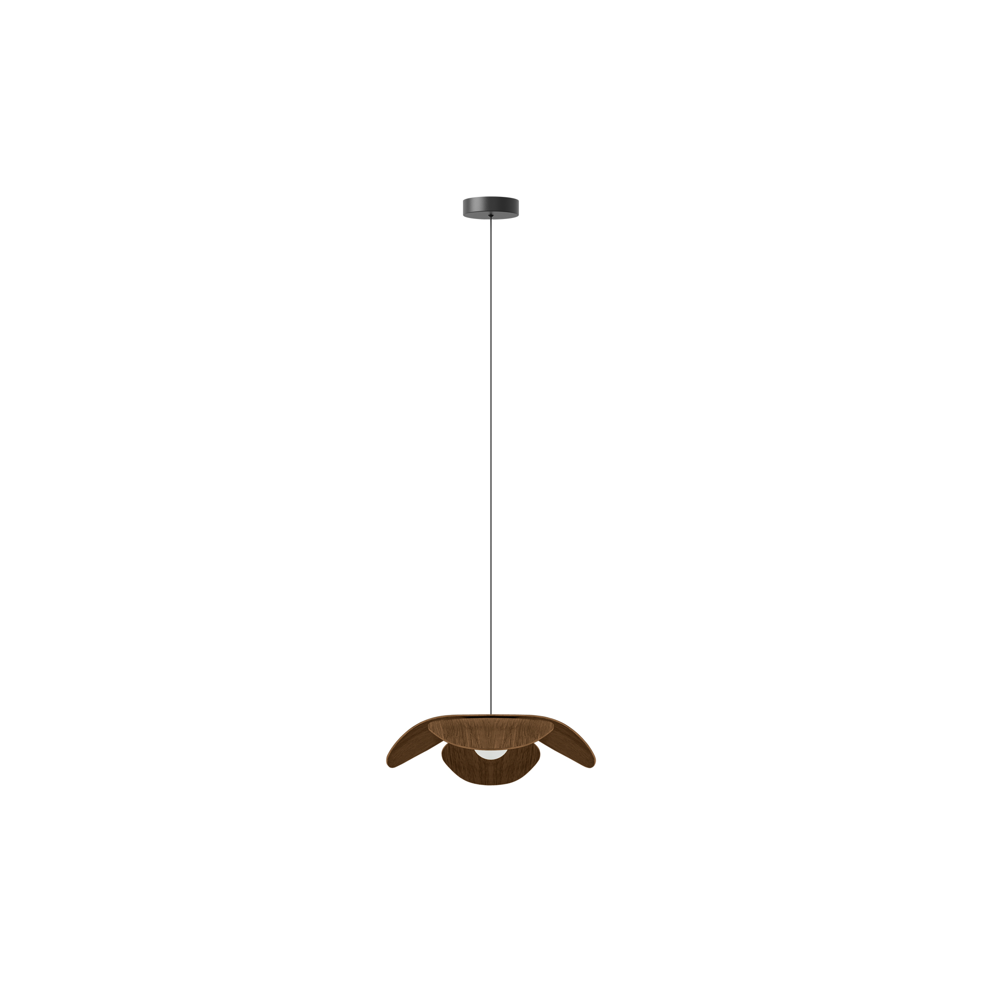 UMAGE - Forget Me Not Pendant, dark oak