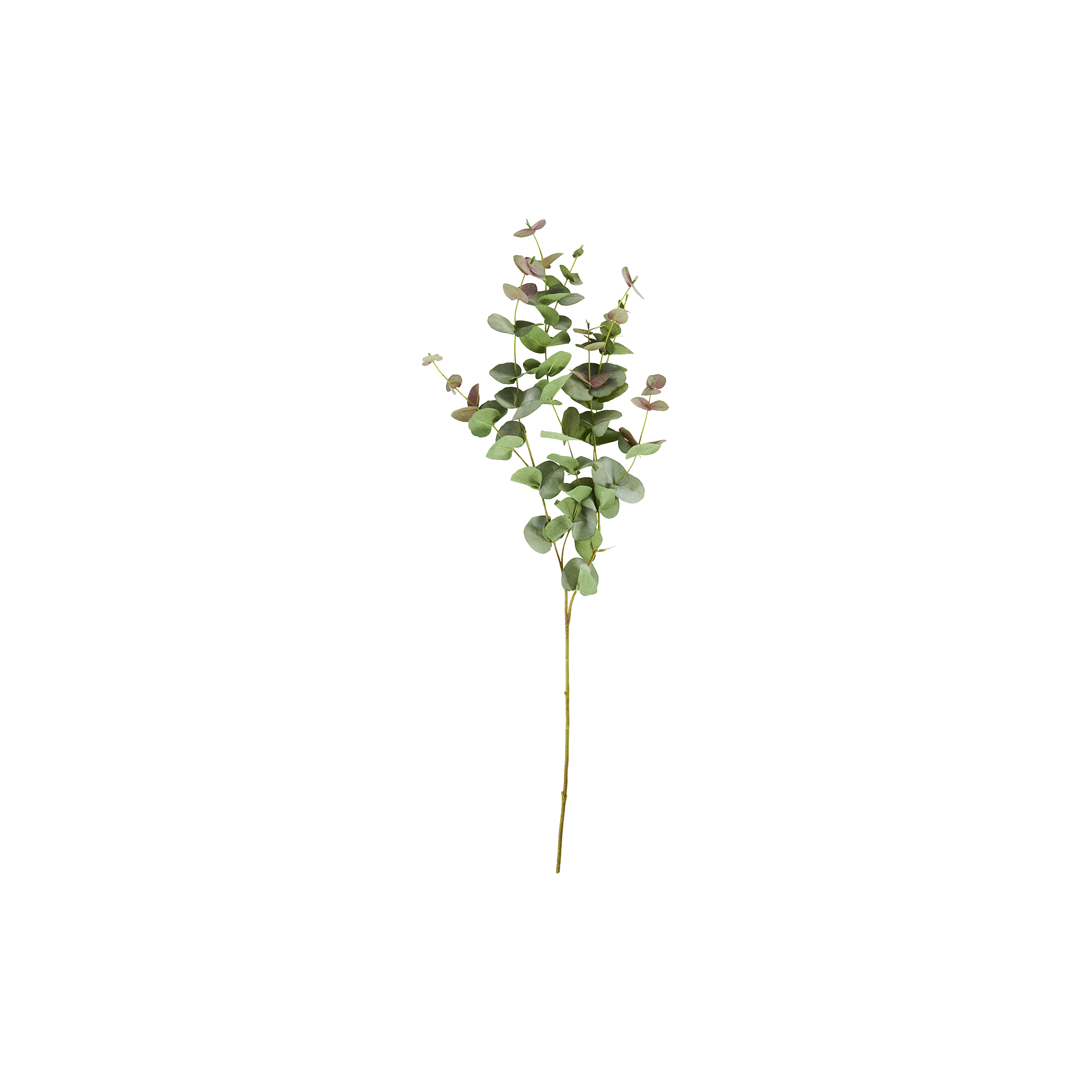 House Doctor - HDEucalyptus Kunstig blomst