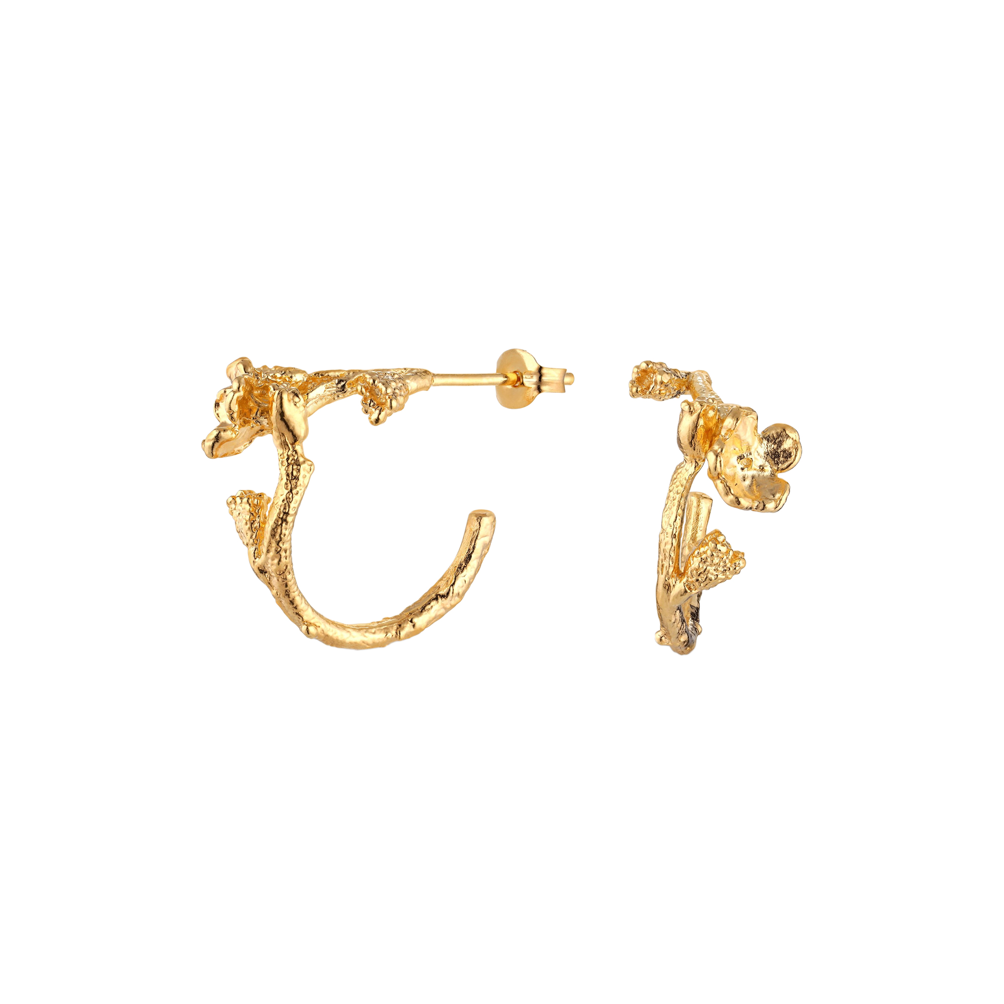 Flora Danica Jewellery - Forglemmigej øreringe, forgyldt