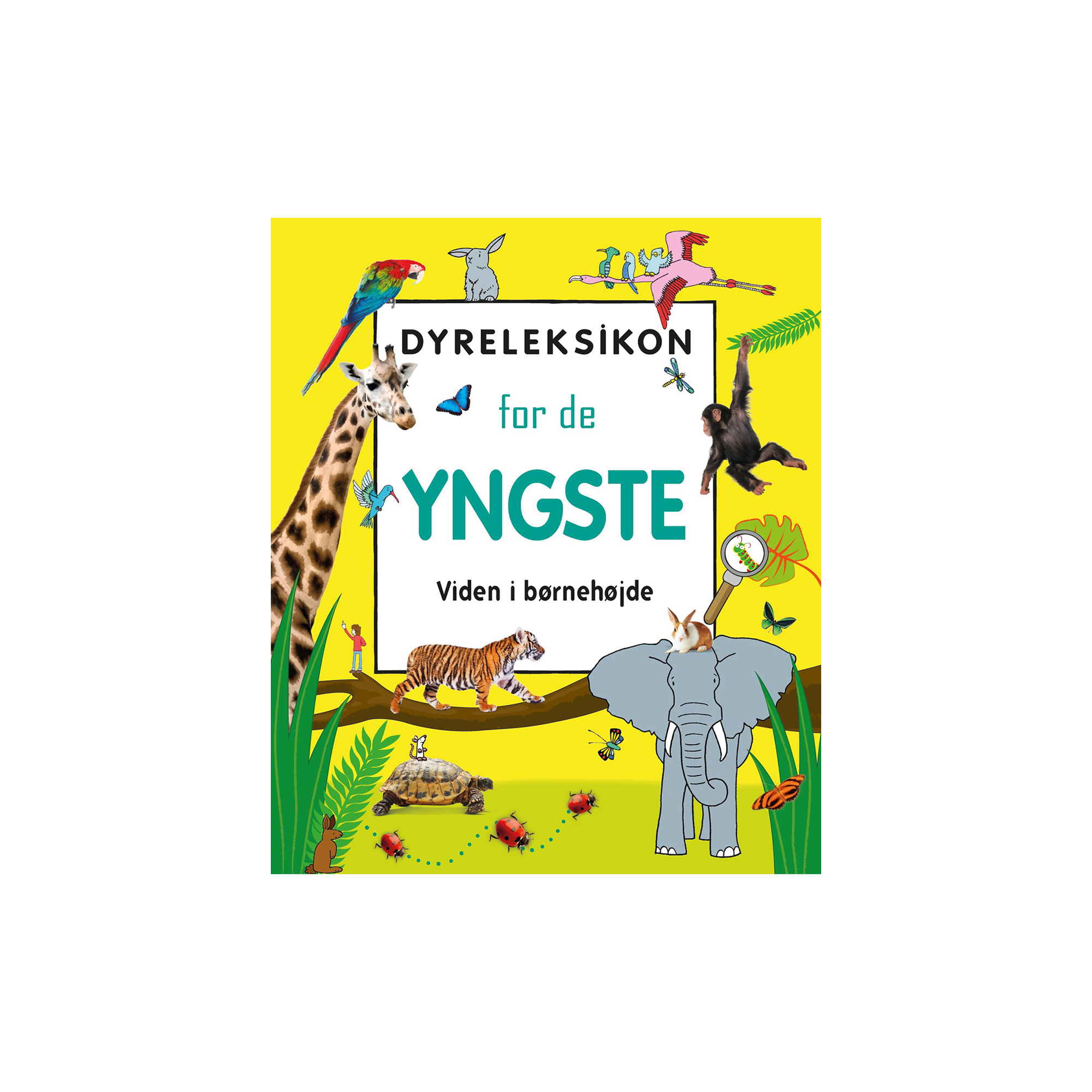 Forlaget Globe - Dyreleksikon for de yngste
