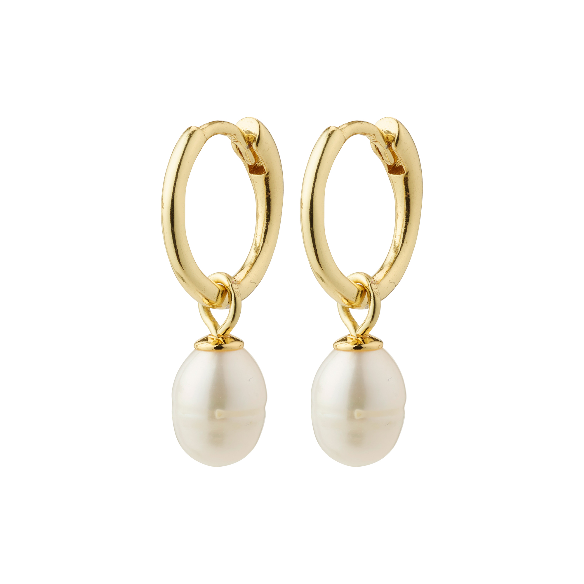 Pilgrim - BERTHE Pearl Øreringe, gold plated